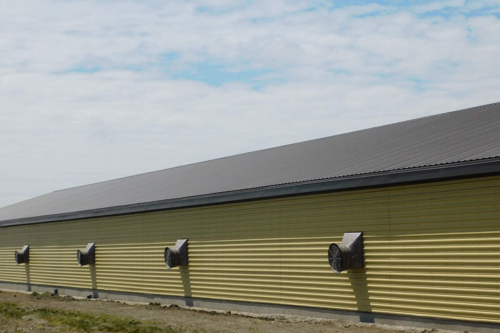 Commercial Flat Roofing