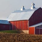 How to Choose the Right Metal Roofing for Your Farm Buildings